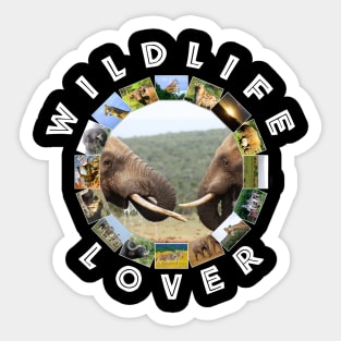 Wildlife Lover Elephant Faces Sticker